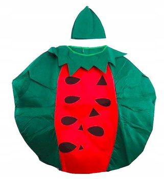 DZIECIĘCY STRÓJ ARBUZ WIOSNA LATO BAL OWOC WARZYWO WITAMINY