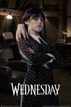PLAKAT WEDNESDAY I RĄCZKA 61x91,5cm / 5749