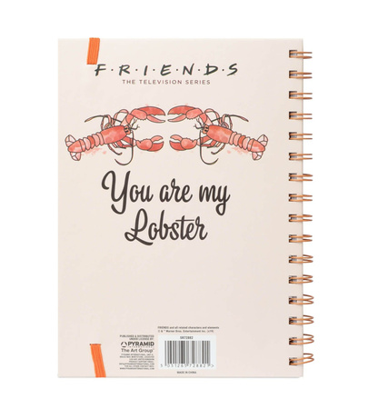 NOTES FRIENDS YOU ARE MY LOBSTER PRZYJACIELE