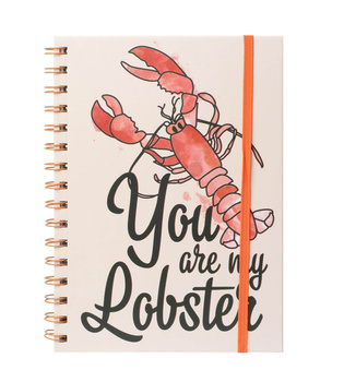 NOTES FRIENDS YOU ARE MY LOBSTER PRZYJACIELE