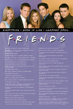 OFICJALNY PLAKAT FRIENDS PRZYJACIELE EVERYTHING I KNOW 61x91,5cm