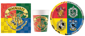 TALERZYKI KUBKI SERWETKI HARRY POTTER NA URODZINY