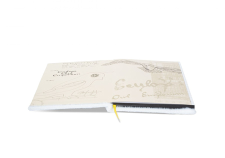 ZESZYT A5 NOTES HARRY POTTER HEDWIGA PUCHATY