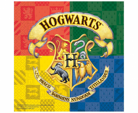 SERWETKI HARRY POTTER 4 DOMY URODZINOWE 20szt