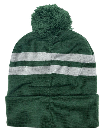 CZAPKA ZIMOWA HARRY POTTER SLYTHERIN ZIELONA
