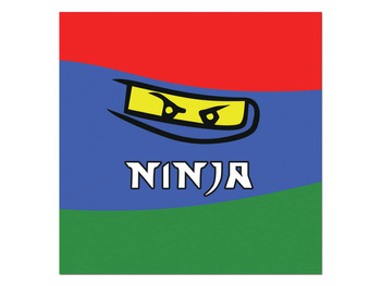 SERWETKI PAPIEROWE NINJA 20szt