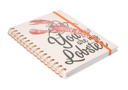 NOTES FRIENDS YOU ARE MY LOBSTER PRZYJACIELE