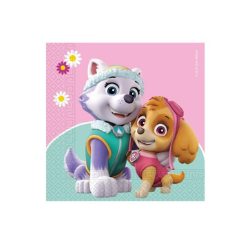 SERWETKI PSI PATROL URODZINOWE 20szt SKYE EVEREST